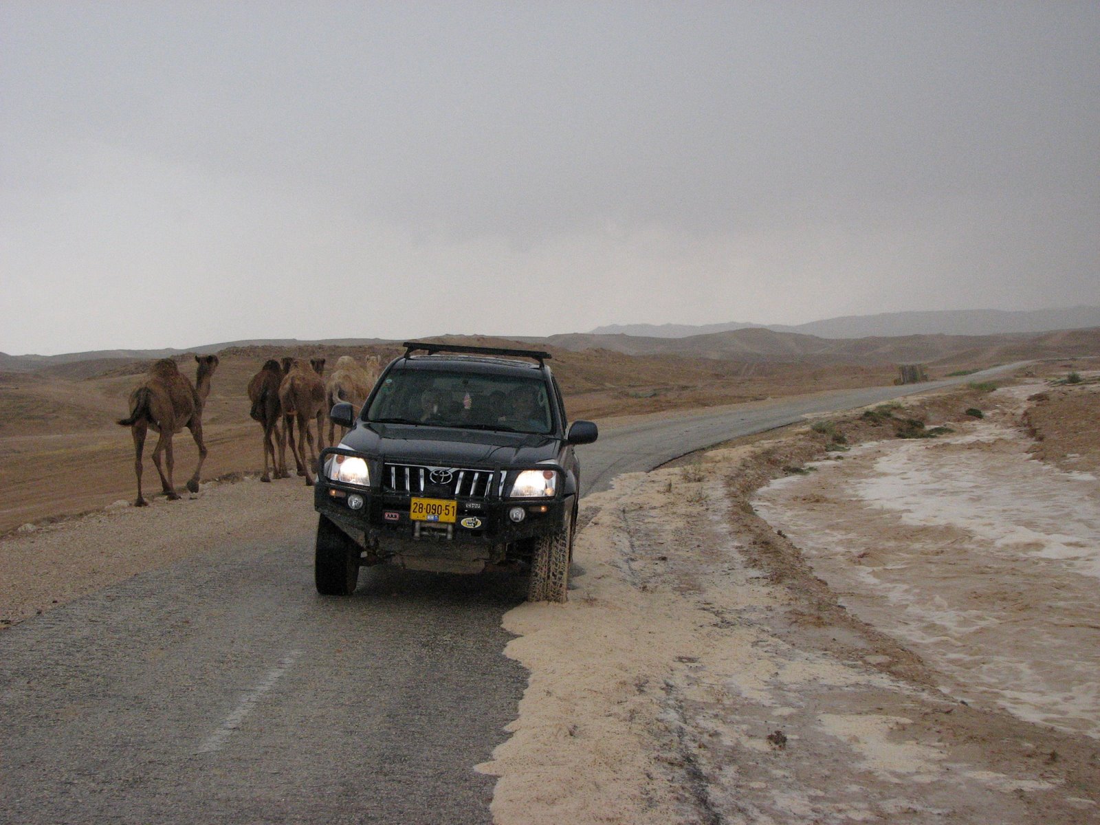 12 May 2007 - 15:00 - Judean Desert Jeep Trip - Back on solid road while flood waters flow by (Tomer Shkolnik photo)