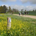 Perfect Timing on the Israel Trail