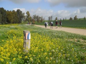 Perfect Timing on the Israel Trail