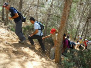 Celebrations on the Israel Trail