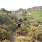 Flash Mob on the Israel Trail