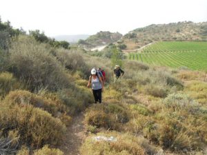 Flash Mob on the Israel Trail