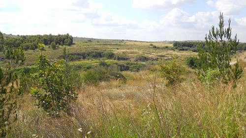 Nahal Anabe Road 4 bridge site