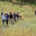 March in May on the Israel Trail