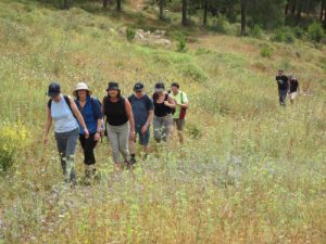 March in May on the Israel Trail