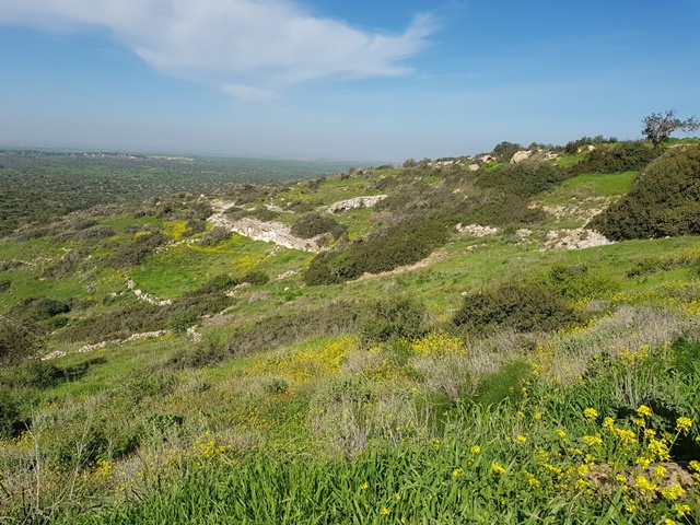 2018-03-03_israel_trail-24-b