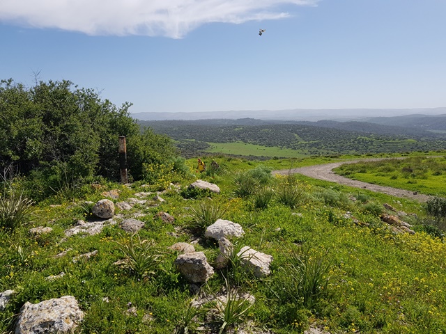 2018-03-03_israel_trail-38-b