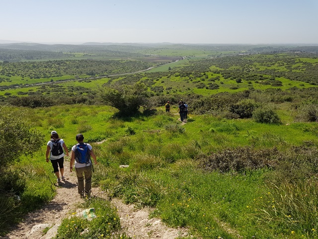 2018-03-03_israel_trail-44-b