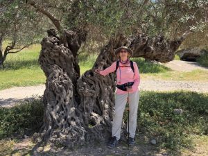 Familiar Places, Different Perspective